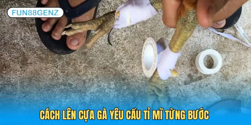 Buộc cựa gà đòi hỏi chuẩn hóa từng bước