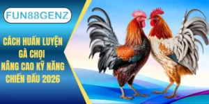 Cách huấn luyện gà chọi