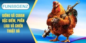 Giống gà cuban