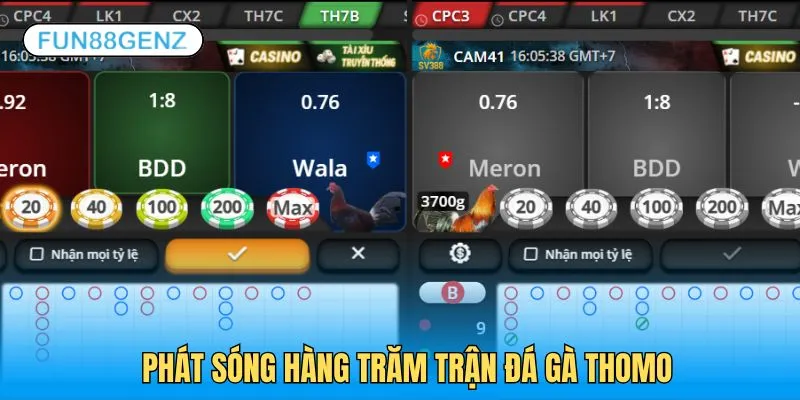 Phát sóng trực tiếp hàng trăm trận đá gà Thomo kịch tính